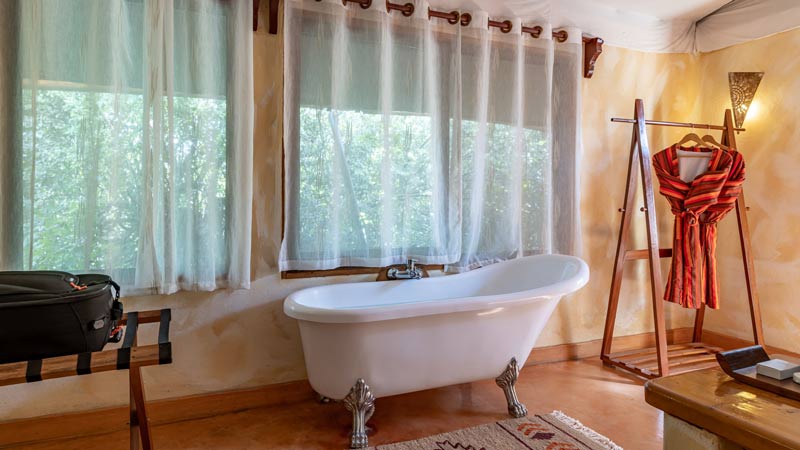 84a75556-c136-494c-a28d-02ef1ef32540