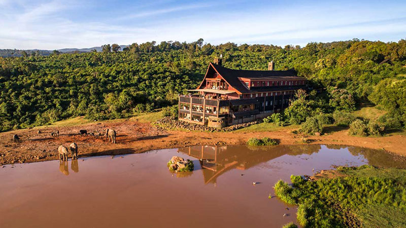 Aberdare National Park