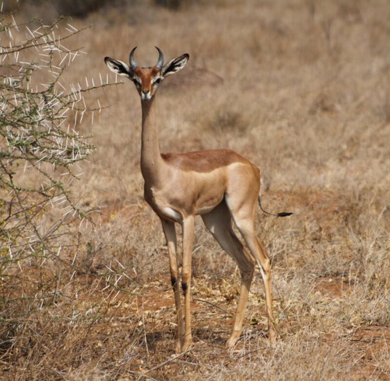 d147500b-9b7c-4b29-8c71-c7c18fed7b22 (1)