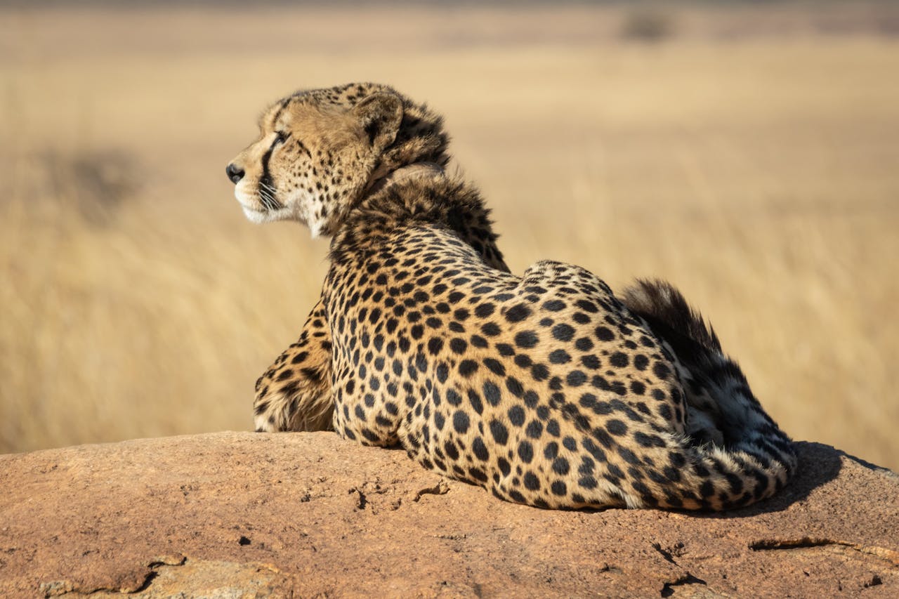 Serengeti National Park