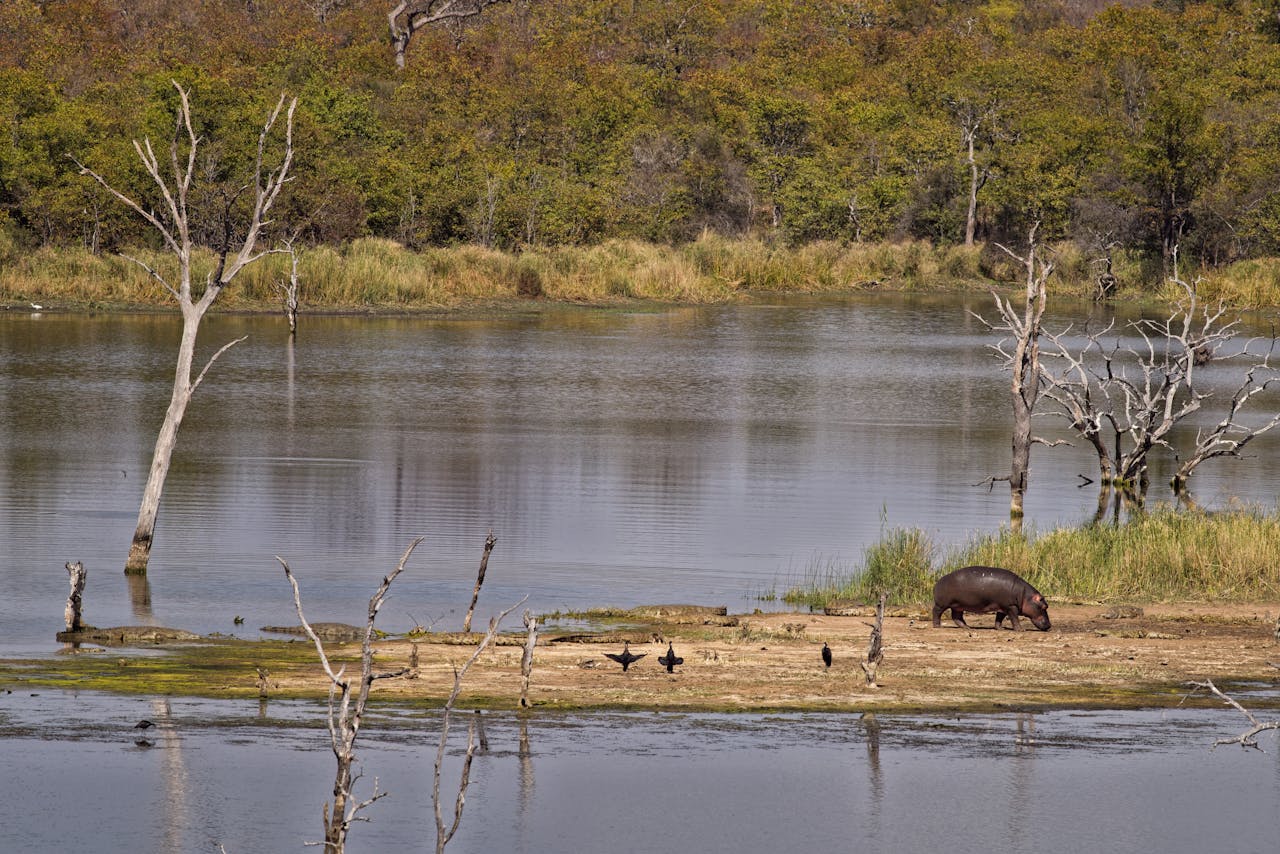 Lake Manyara National Park